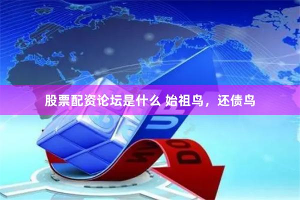 股票配资论坛是什么 始祖鸟，还债鸟