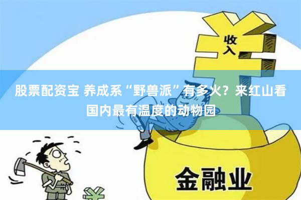 股票配资宝 养成系“野兽派”有多火？来红山看国内最有温度的动物园