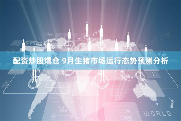 配资炒股爆仓 9月生猪市场运行态势预测分析