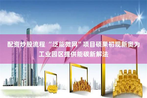 配资炒股流程 “泛能微网”项目硕果初现新奥为工业园区提供能碳新解法